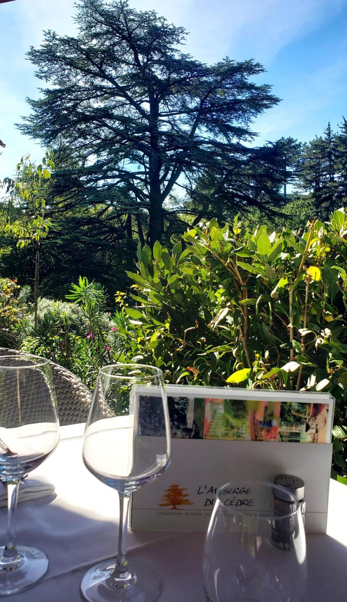 L'Auberge Du Cedre Lauret  外观 照片